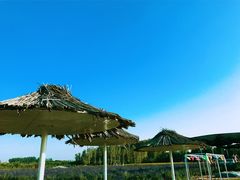 -北京东方普罗旺斯薰衣草庄园