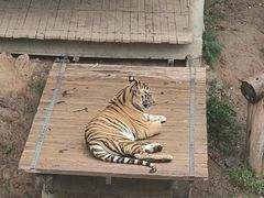 -石家庄市动物园