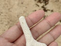 -石螺口海滩