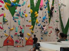 -绿壁虎攀岩基地(Tcar店)
