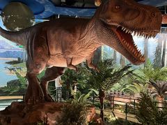 -陕西自然博物馆