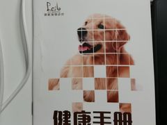 -派联宠物医院·24h·CT·异宠