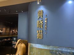 -黄晓猫剁椒大鱼头(海岸城店)