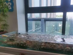 -威海蓝海御华大饭店·蓝钻美食自助百汇