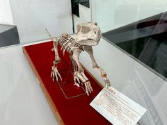 -中国第四纪冰川遗迹陈列馆