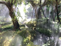 -Chom Cafe and Restaurant