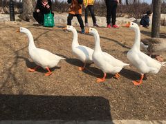 -达活泉公园