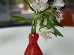 -萬國春·中菜馆(颐和公馆店)