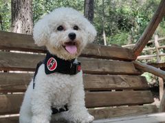 -蟠龙山长城景区