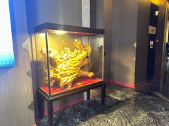 -索拉古贝(义乌北苑店)