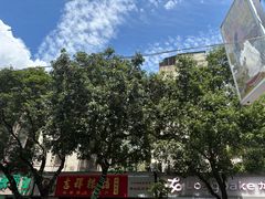 -金砂公园