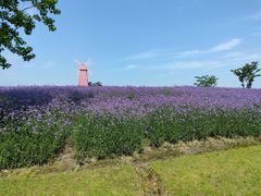 -同里国家湿地公园