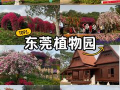 -东莞植物园