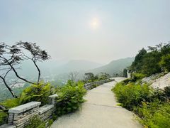 -府君山公园