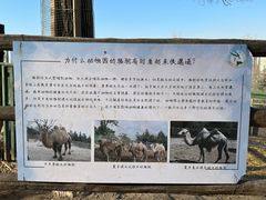 -青藏高原野生动物园