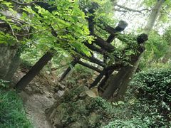-绮园景区