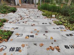 -和平公园
