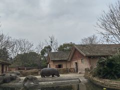 -南昌动物园