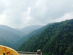 iphone_upload_pic-凤凰山国家森林公园