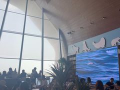 -抱抱地球咖啡馆(国家海洋博物馆店)