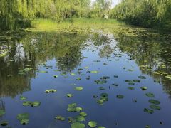-溱湖国家湿地公园