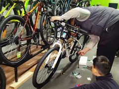 -道路口单车爱瓦士dahon大行