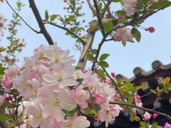 -红螺寺