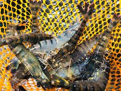 -盒马鲜生(曜一城店)