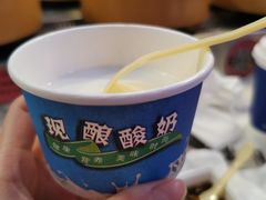 酸奶-龍歌自助小火锅(李沧丽达店)