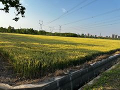 -嘉北郊野公园