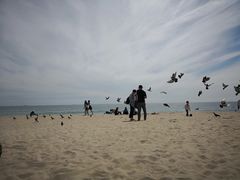 -海云台海滩
