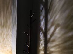 -耳妃躺式采耳SPA馆