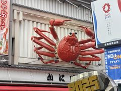 -蟹道乐(道顿堀本店)