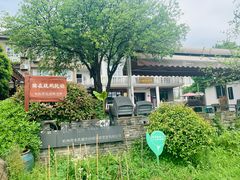 -龙坞茶村