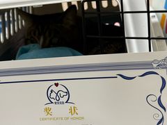 -爱佳宠物中心医院24H·CT·骨外科·猫专科(瑶海万达店)