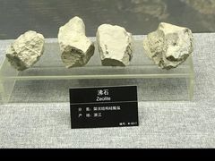 -甘肃地质博物馆