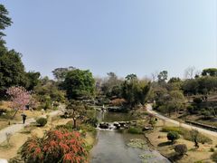 -东莞植物园