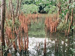 -白沙门生态公园