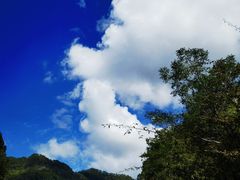 -刘伯温故里景区百丈漈