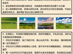 -呼伦贝尔大草原