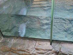 -海合安青岛极地海洋公园