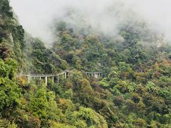 -少华山国家森林公园