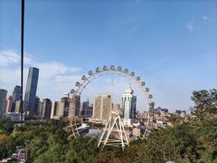 -大连森林动物园