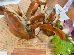 -友强·23年特色海鲜大排档(厦门店)