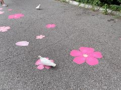-燕塞湖鸟语林景区