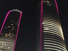 -演武大桥观景平台