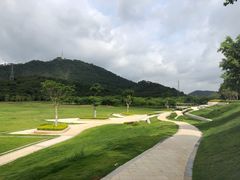 -风云岭森林公园