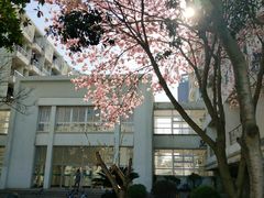 -宁波大学科学技术学院