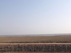 -金山嘴渔村
