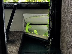 -巴金故居
